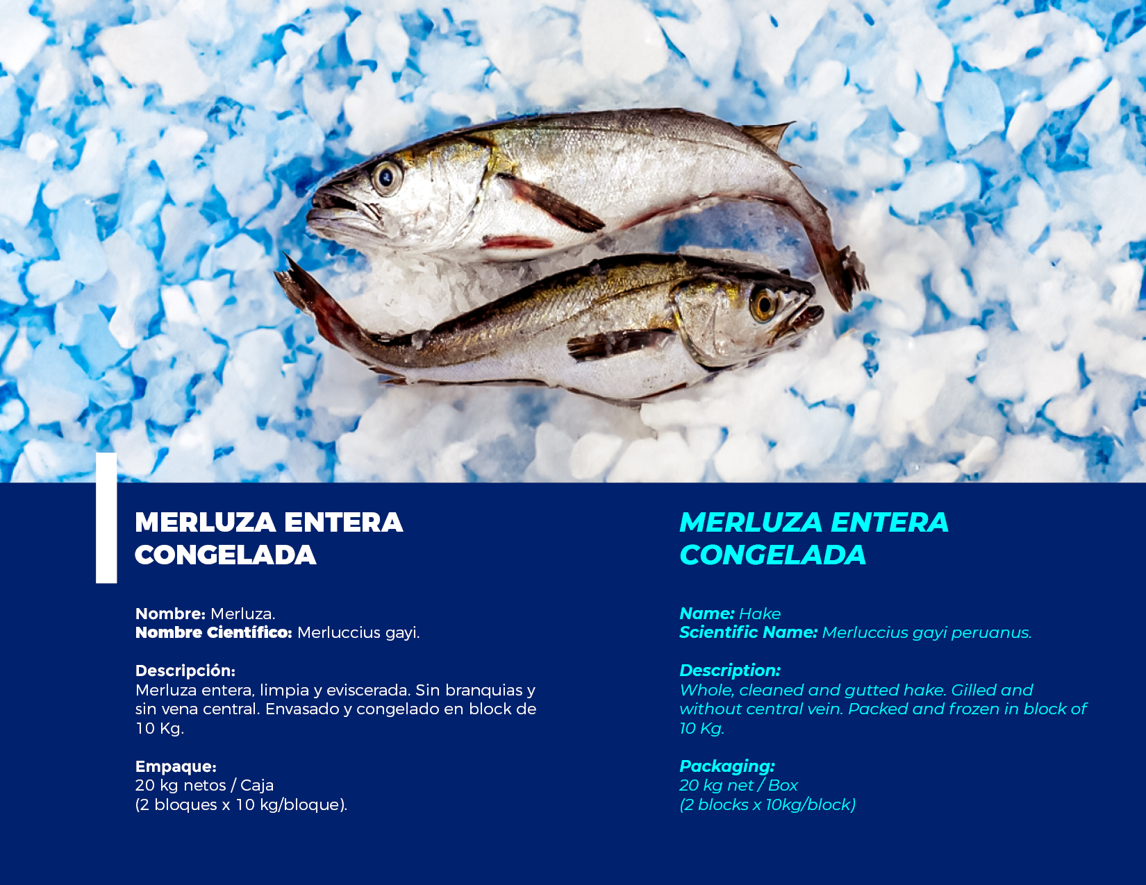 brochure 1